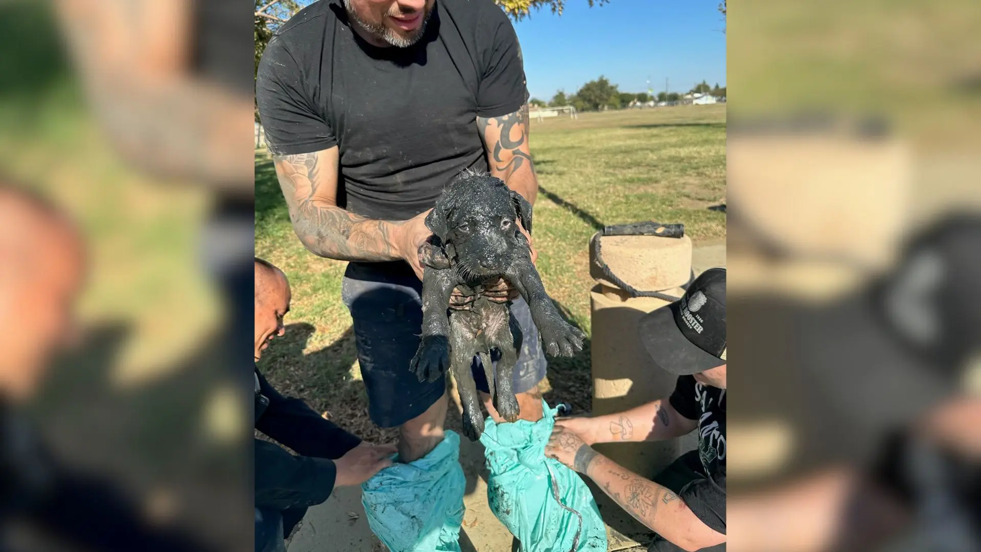 Police discover helpless animal trapped in sewage drain, covered in sludge